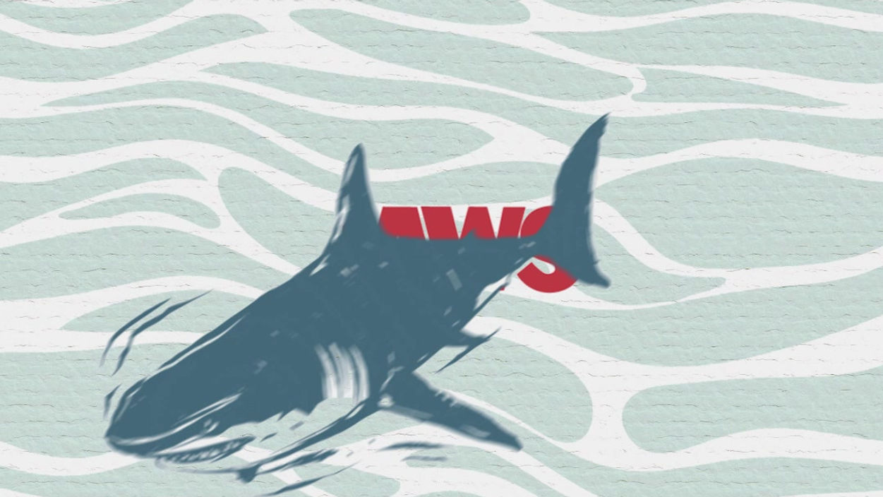 JAWS Collection Release Model 04